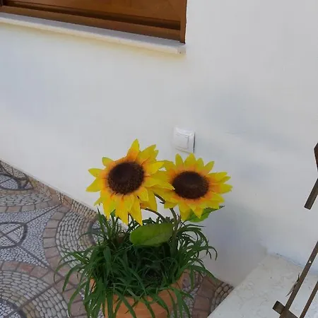 Anna - Maria Luxury * Skala Rachoni (Thasos)